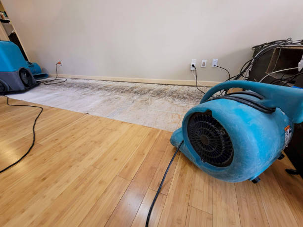 Professional Burst Pipe Water Damage technician working in Wildwood, MO